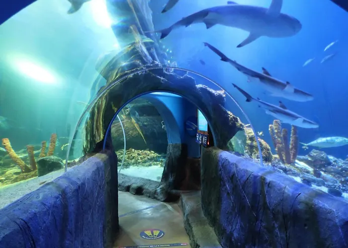 Apartment Urban Retreat